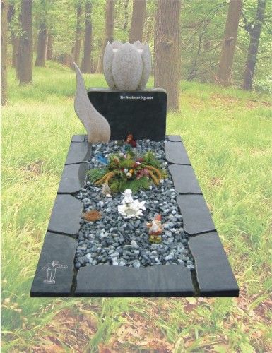 M72 – Tulp / bloem