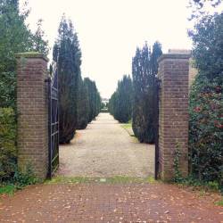 Begraafplaats Laren