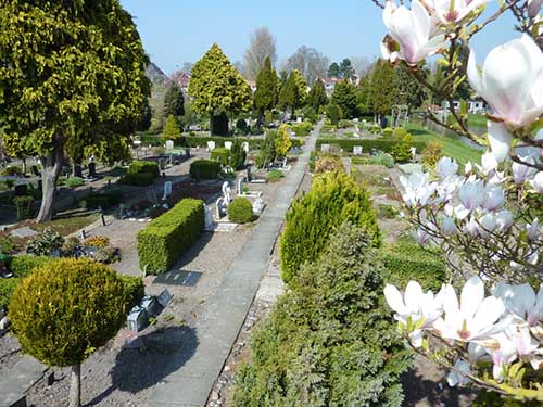 Grafstenen voor huisdieren