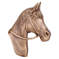 Bronzen paard