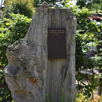 Grafsteen van versteend hout met cortenstaal