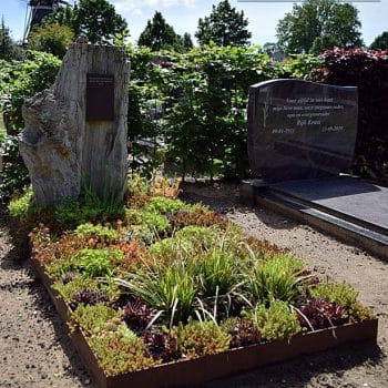 Grafsteen van versteend hout met cortenstaal