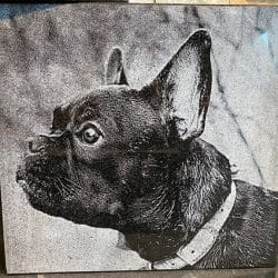 Lasergravure-grafsteen-hond